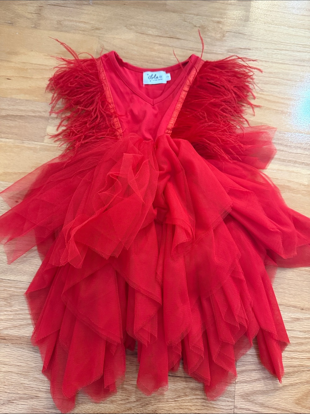 Lola and the Boys Red Feather & Tulle Kids Dress
